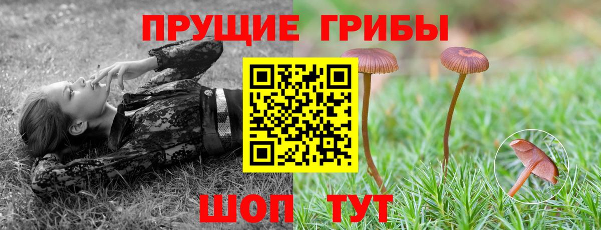 Галлюциногенные грибы мухоморы Соль-Илецк